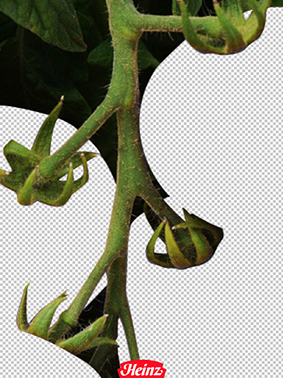 Серия рекламных плакатов кетчупа Heinz.