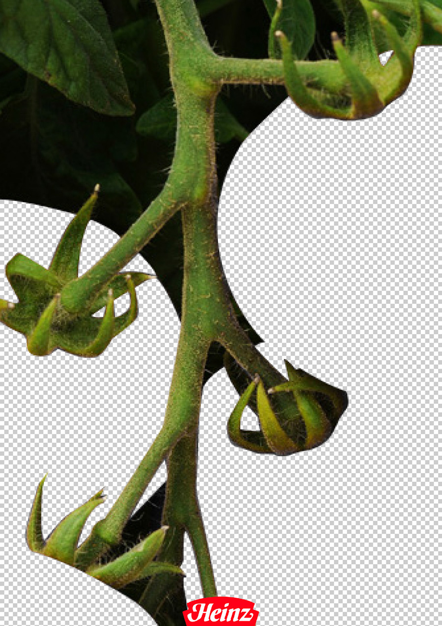 Серия рекламных плакатов кетчупа Heinz.