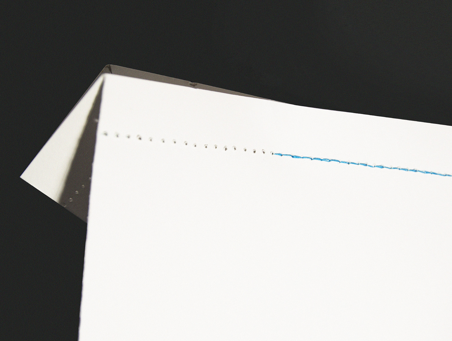 Проект упаковки стильного порошка «Силк».