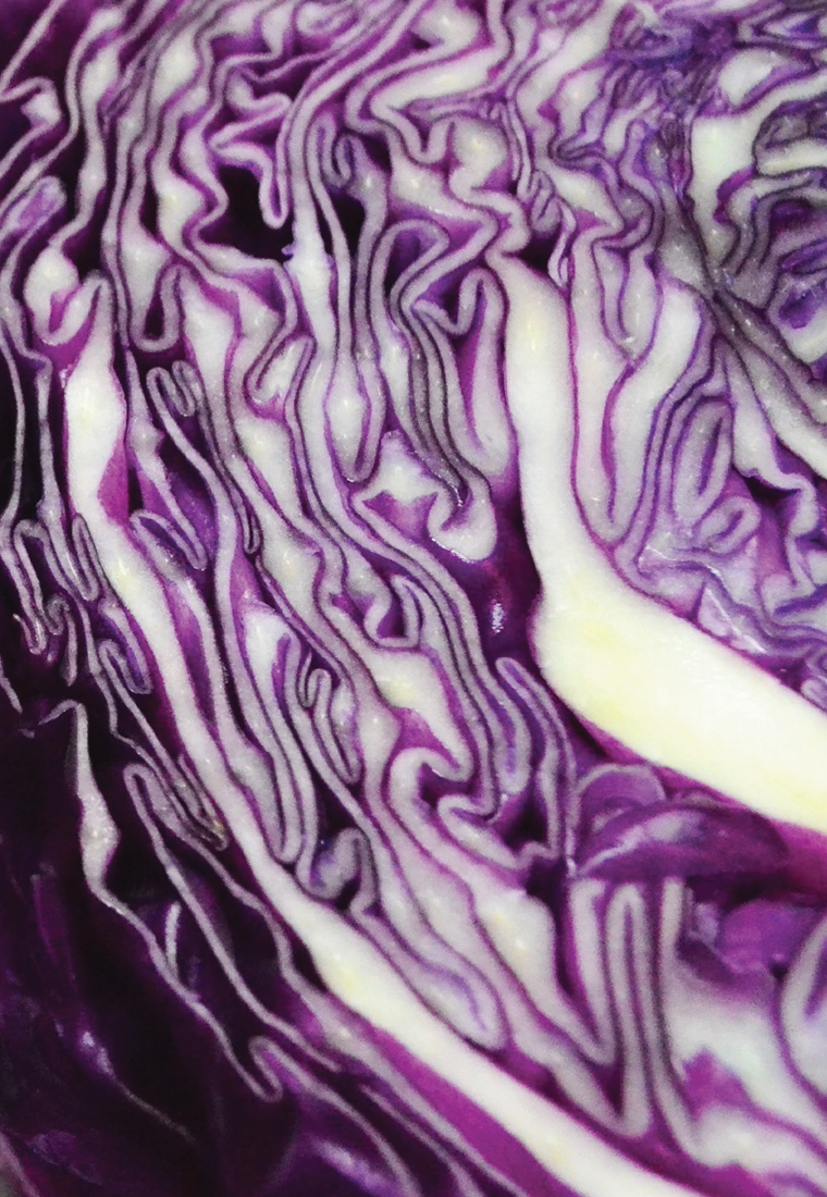 Визуальное исследование объекта: капуста.