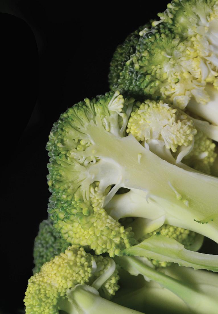 Визуальное исследование объекта: капуста.