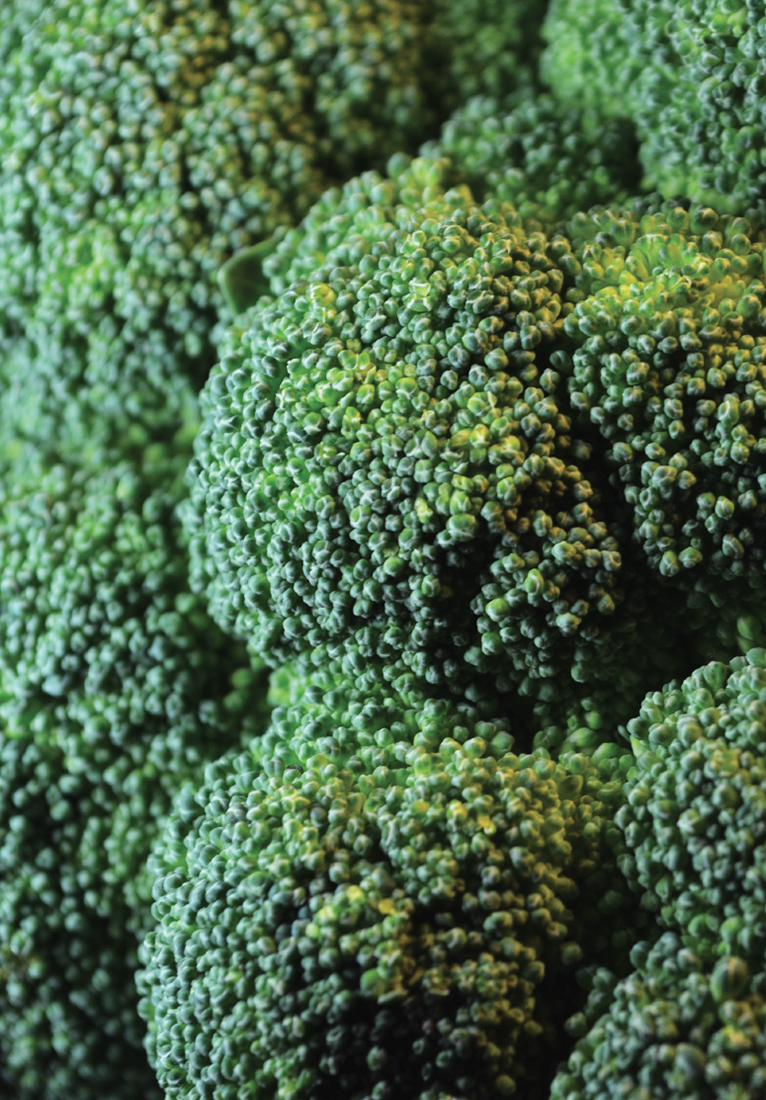 Визуальное исследование объекта: капуста.