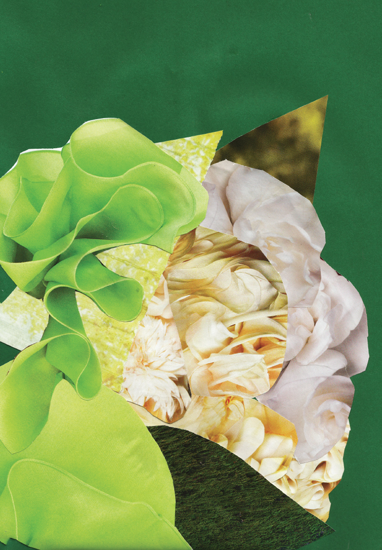 Визуальное исследование объекта: капуста.