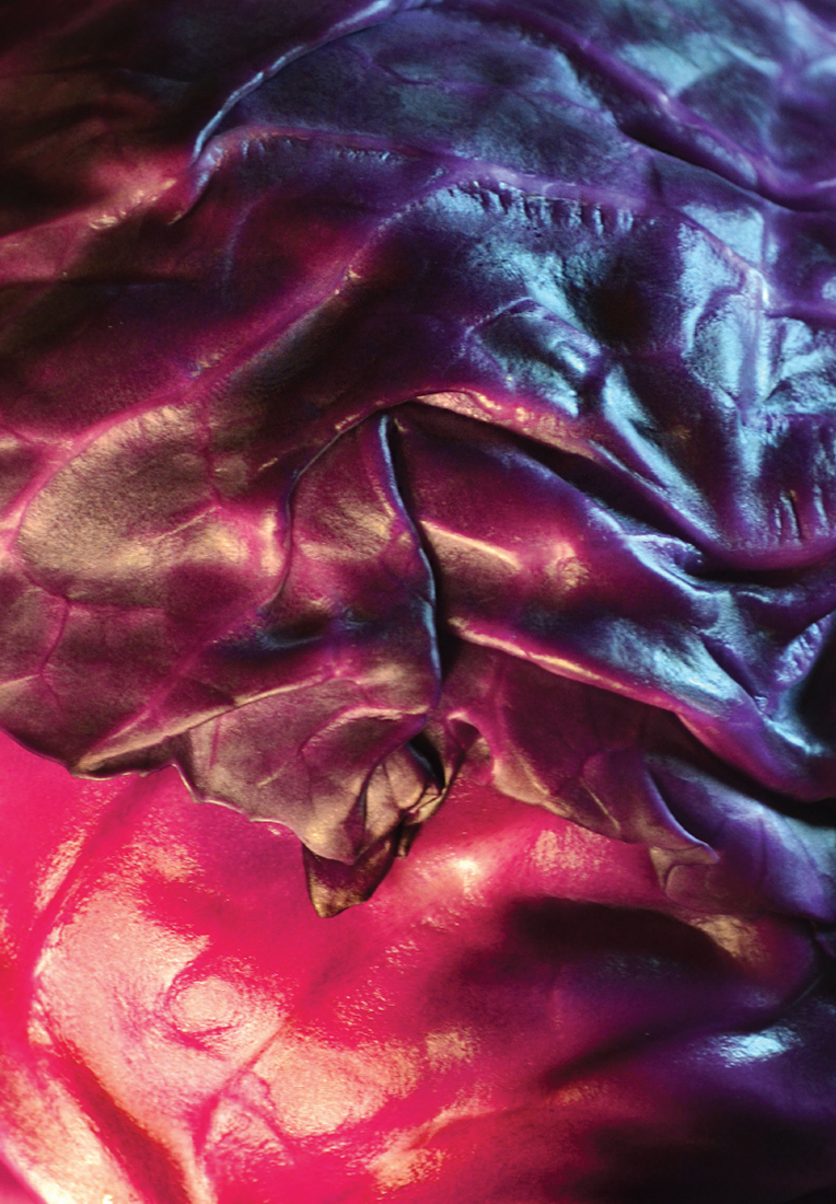 Визуальное исследование объекта: капуста.