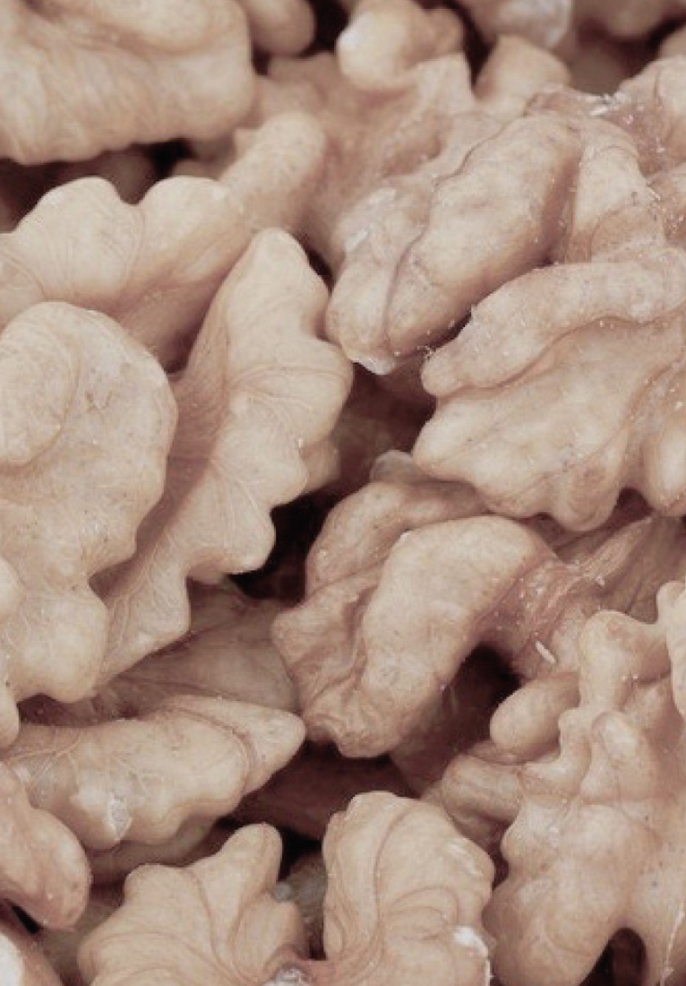 Визуальное исследование объекта: капуста.