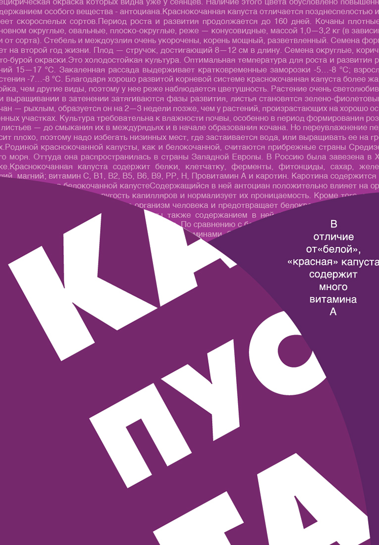 Визуальное исследование объекта: капуста.