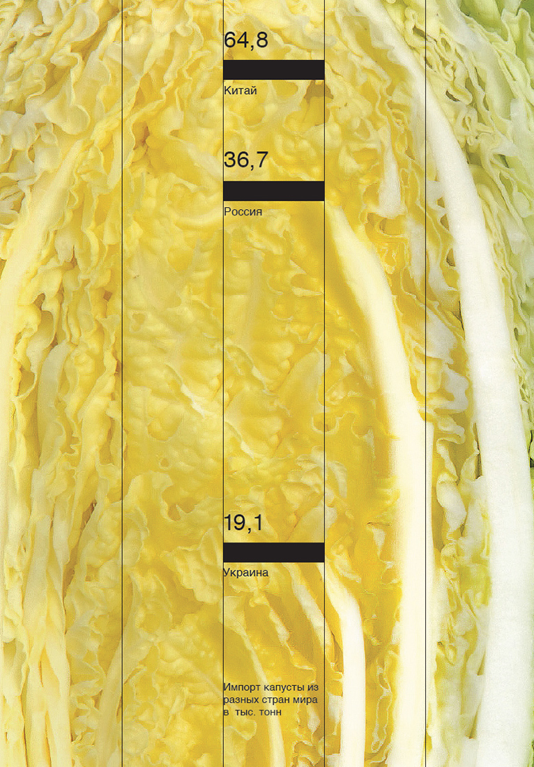 Визуальное исследование объекта: капуста.