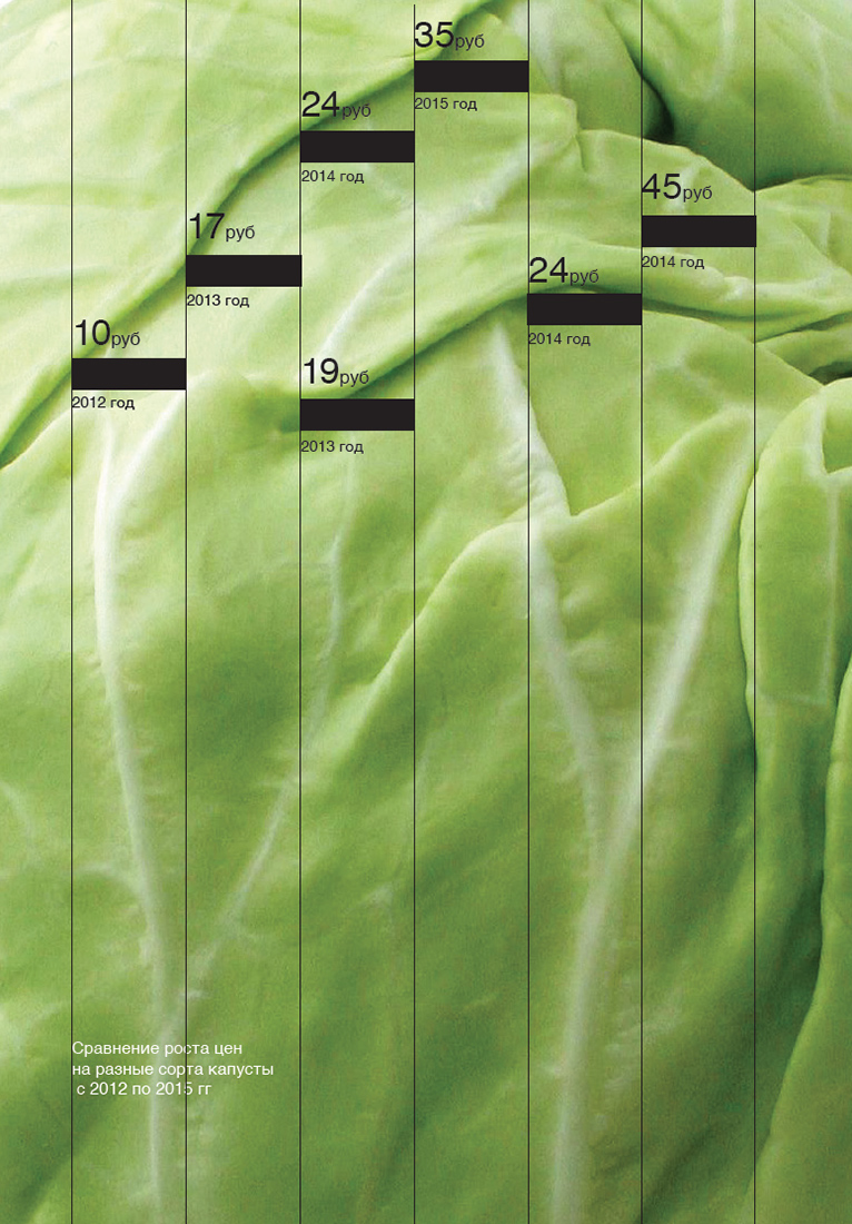 Визуальное исследование объекта: капуста.