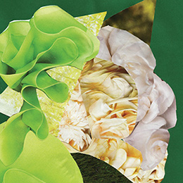 Визуальное исследование объекта: капуста.