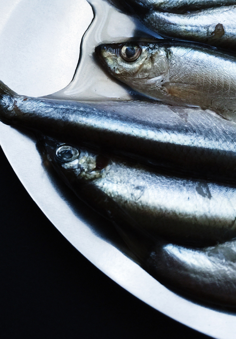 Визуальное исследование объекта: рыба.