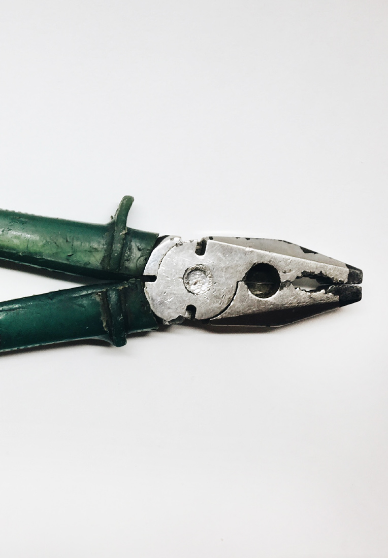 Визуальное исследование объекта: рыба.