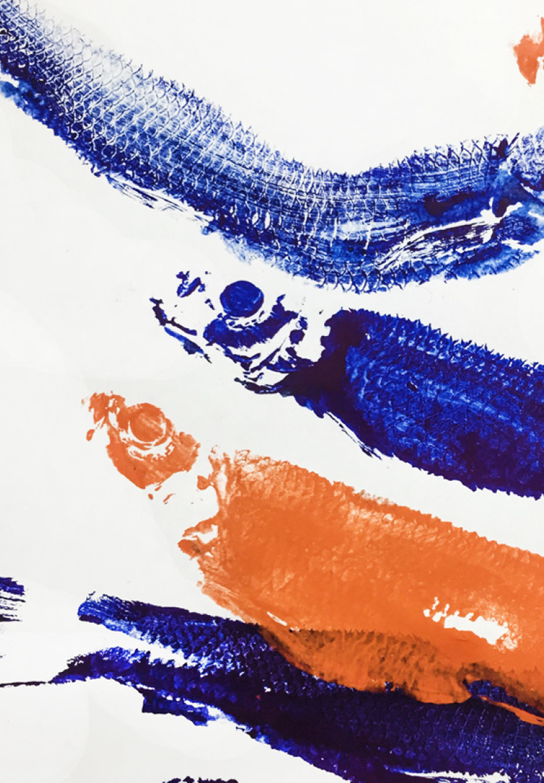 Визуальное исследование объекта: рыба.