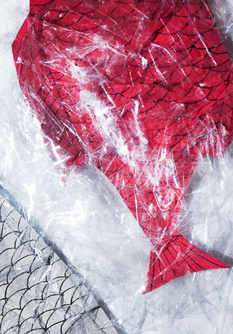 Визуальное исследование объекта: рыба.