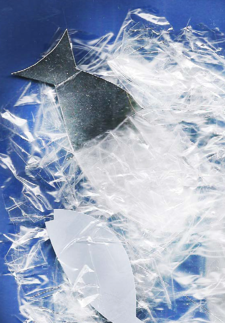 Визуальное исследование объекта: рыба.