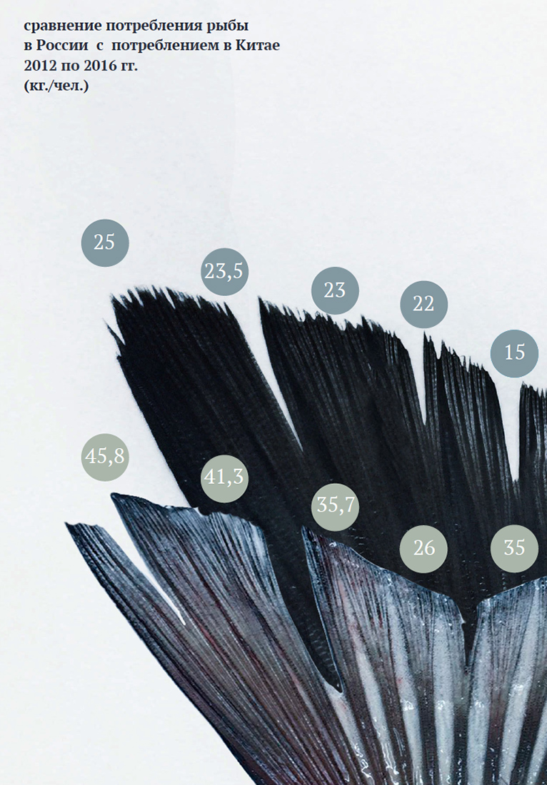 Визуальное исследование объекта: рыба.