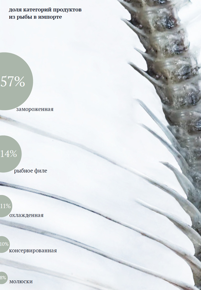 Визуальное исследование объекта: рыба.