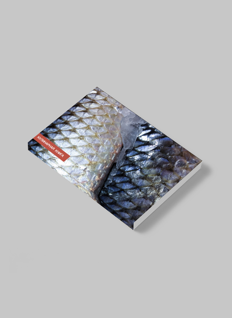 Визуальное исследование объекта: рыба.