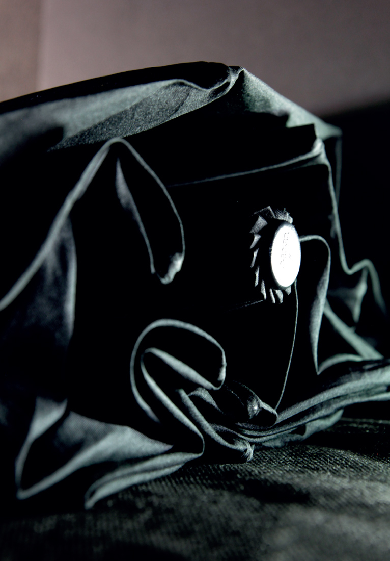 Визуальное исследование объекта: зонт.