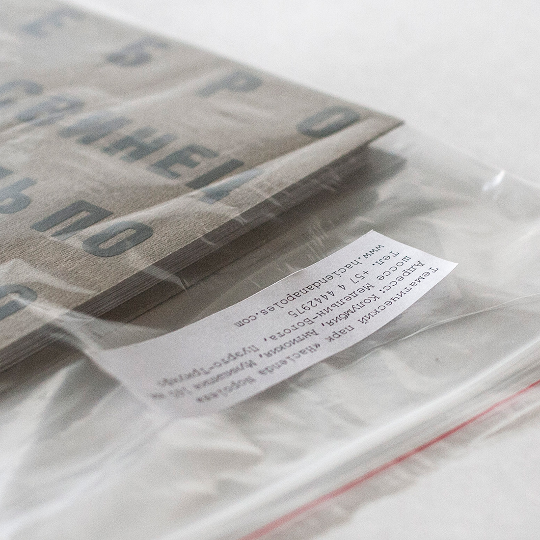 Буклет «Путеводитель по жизни Пабло».