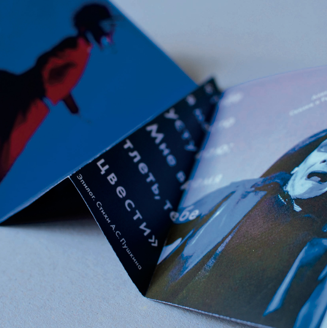 Буклет «Сказки Пушкина».