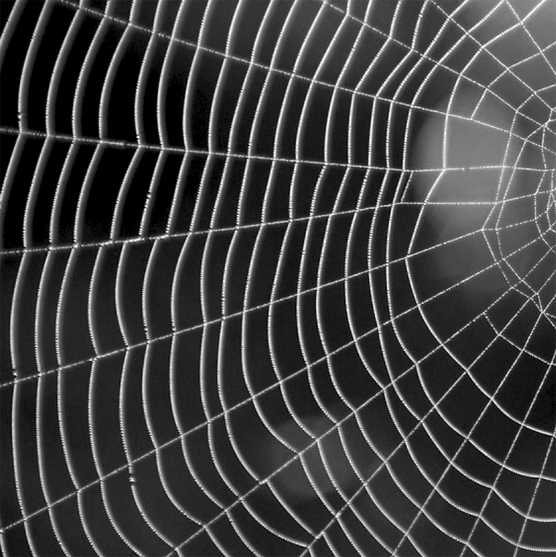 Визуальное исследование объекта: зонт.