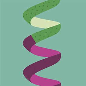 Визуальное исследование объекта: овощечистка.