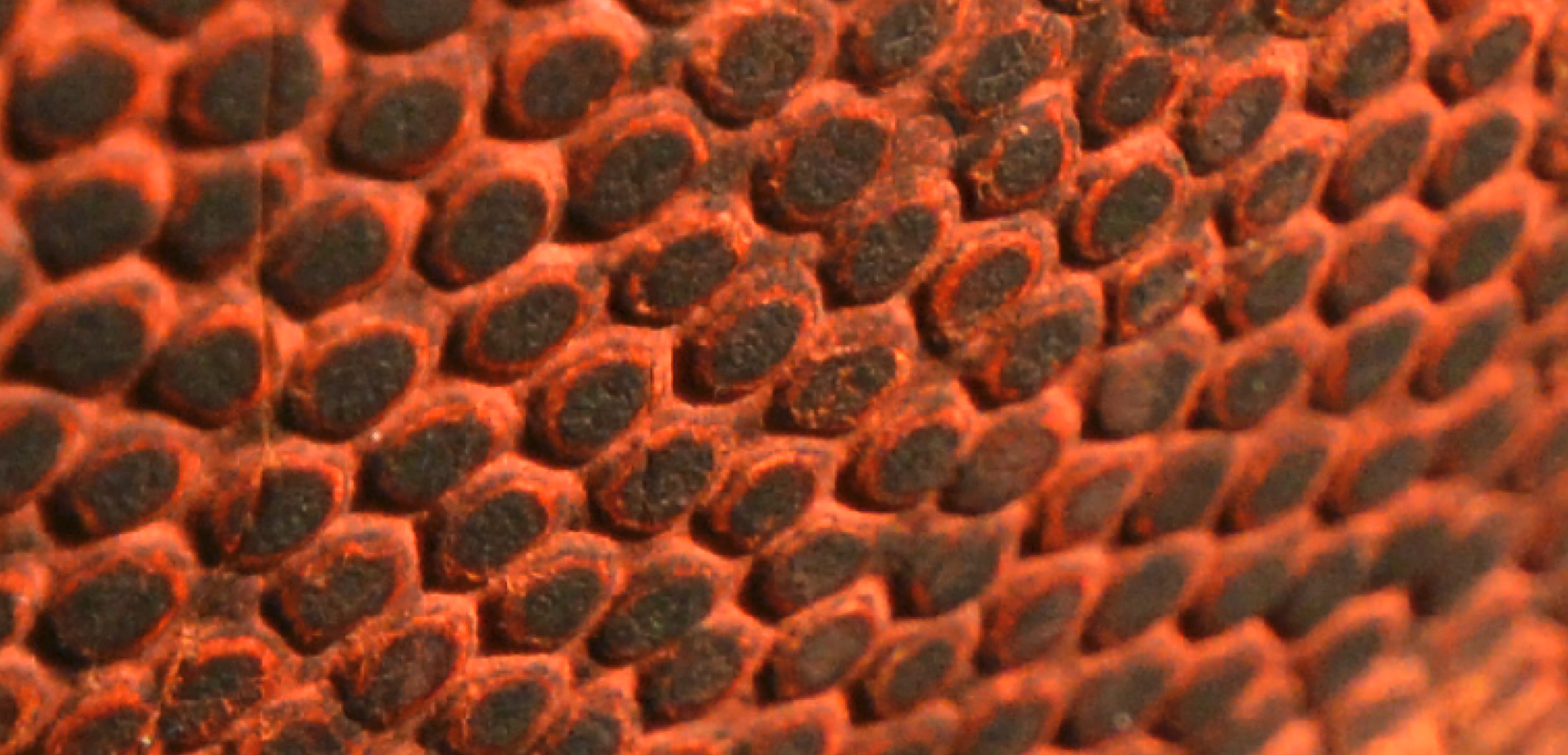 Визуальное исследование объекта: баскетбольный мяч.