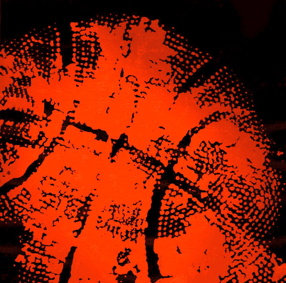 Визуальное исследование объекта: баскетбольный мяч.