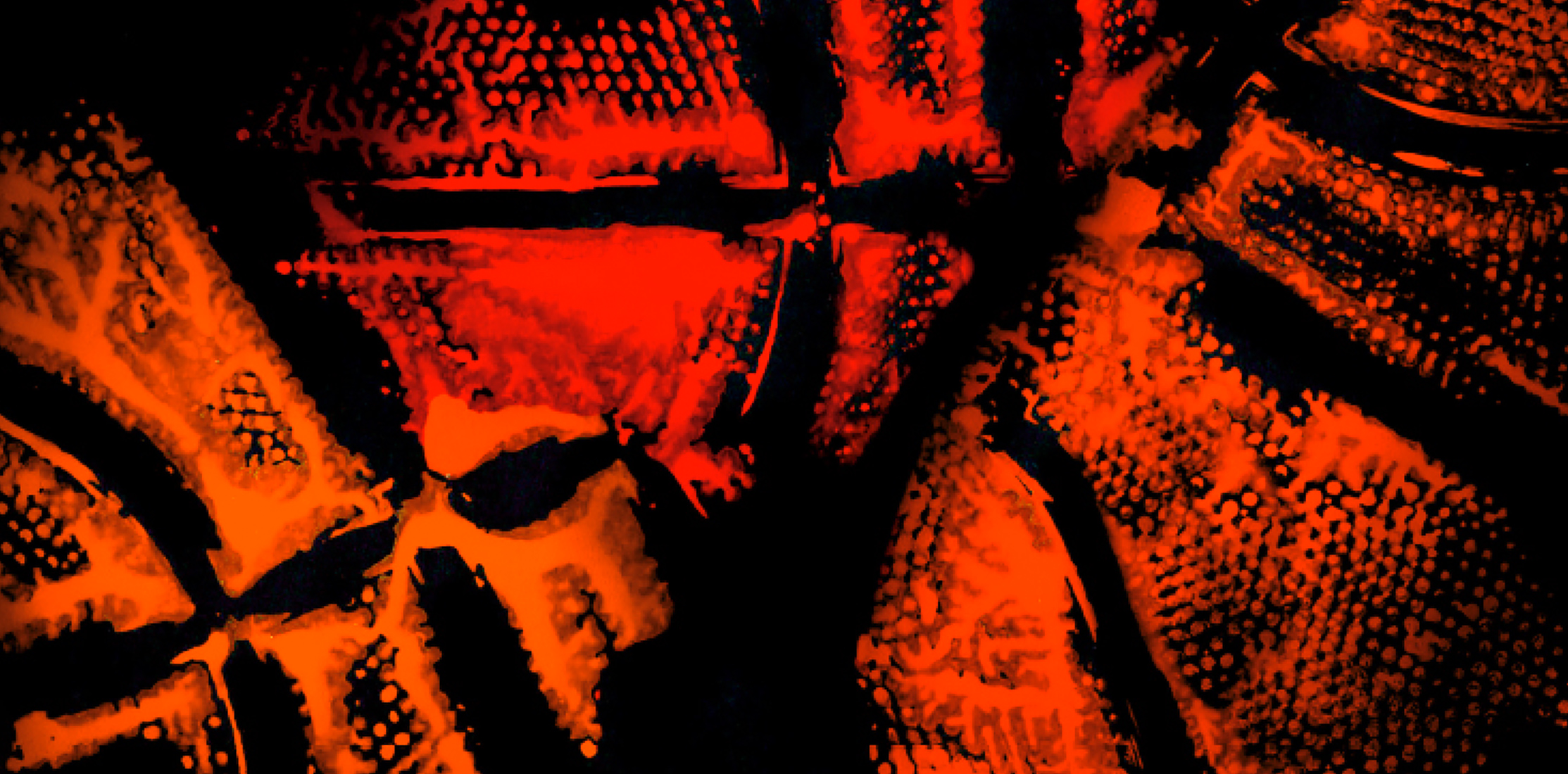 Визуальное исследование объекта: баскетбольный мяч.