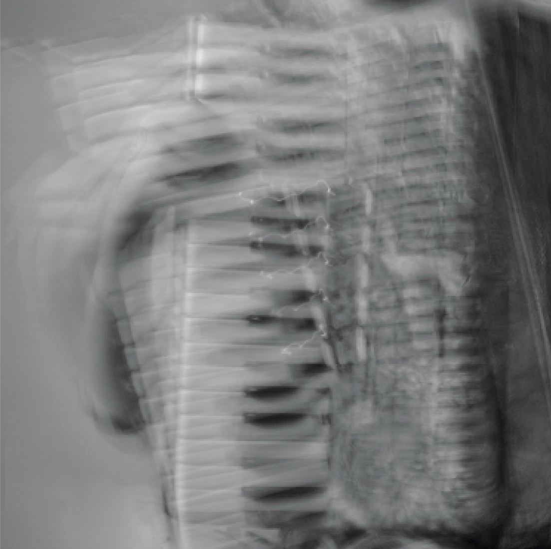 Визуальное исследование объекта: аккордеон.