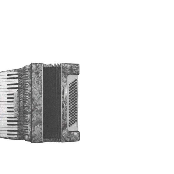 Визуальное исследование объекта: аккордеон.