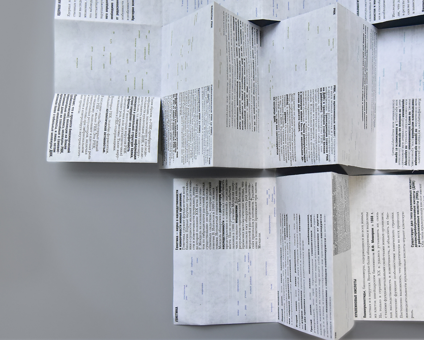 Буклет «Генетика. ДНК и РНК».