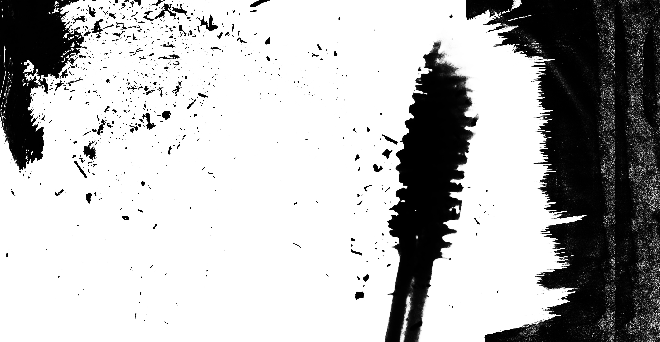 Визуальное исследование объекта: тушь.