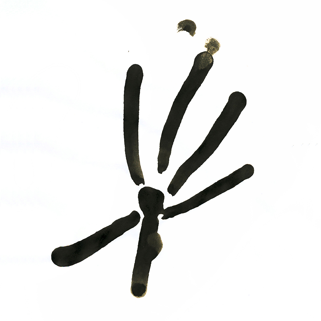 Визуальное исследование объекта: фонарь.