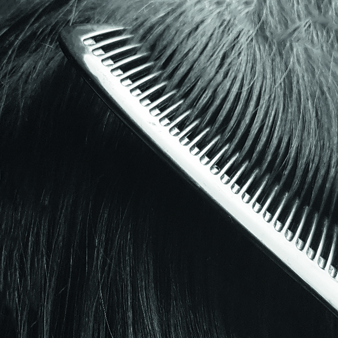 Визуальное исследование объекта: расческа.