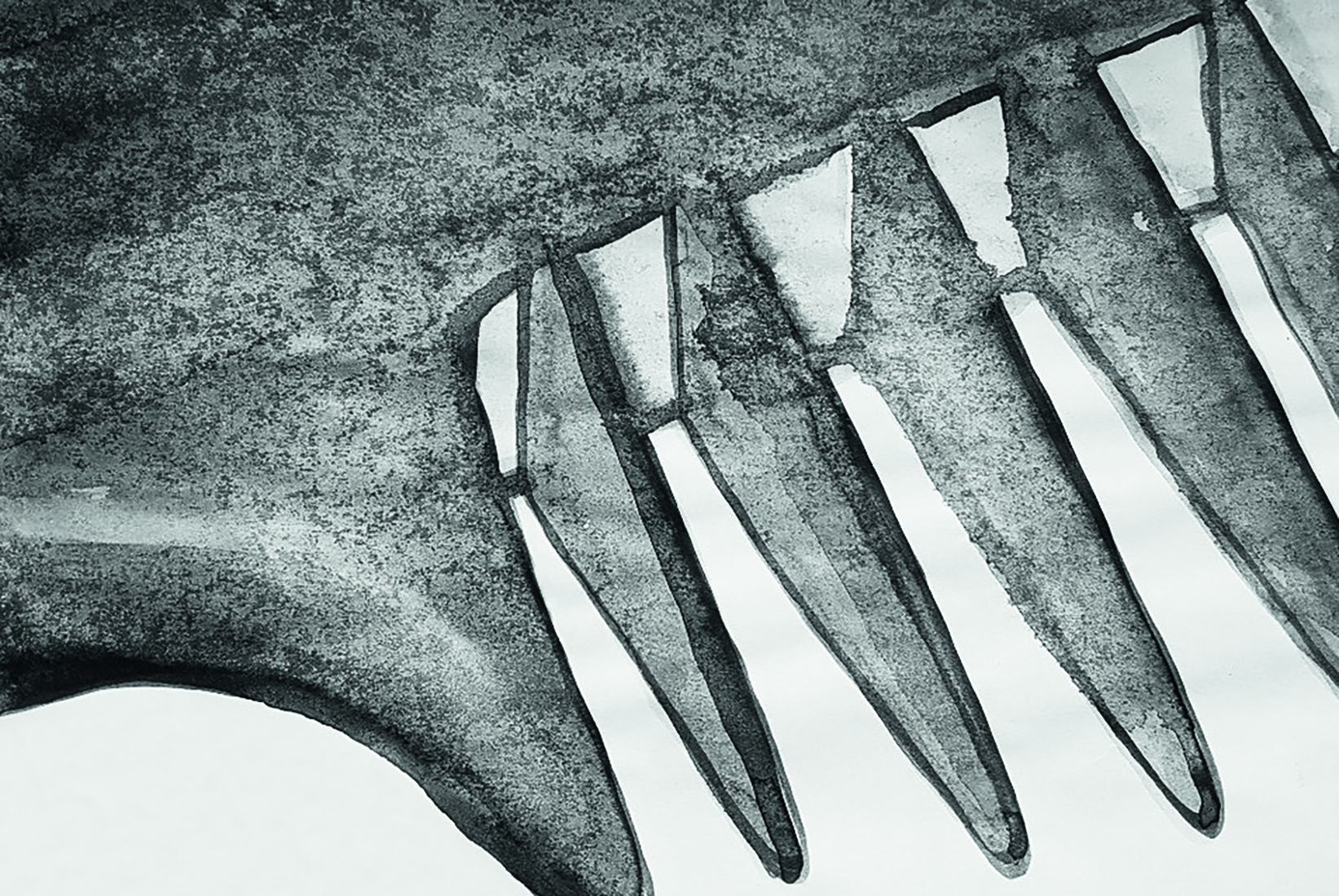 Визуальное исследование объекта: расческа.