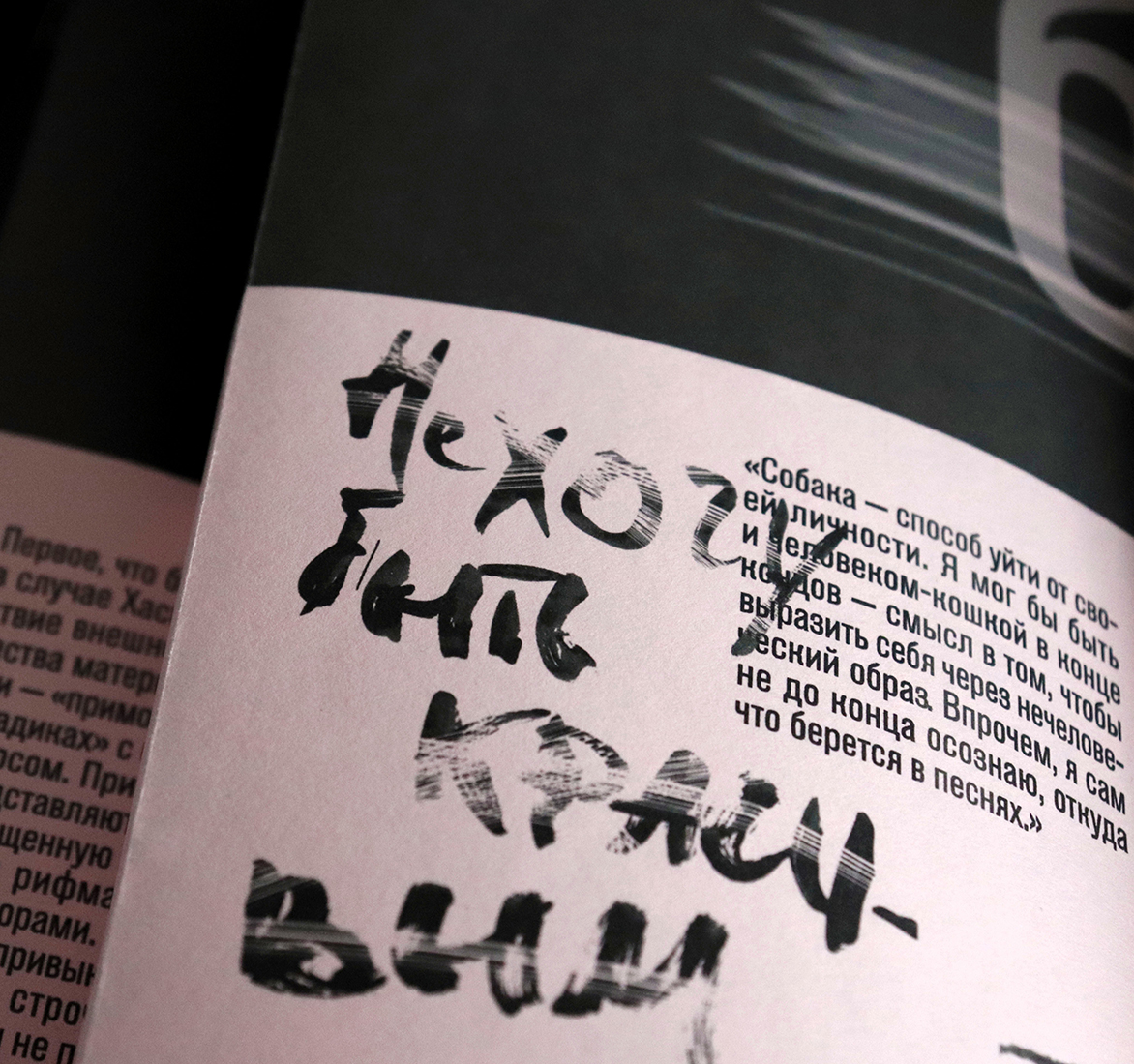 Буклет «Хаски».